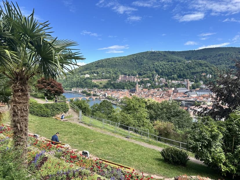 Blick auf Heidelberg mit Schloss und Neckar